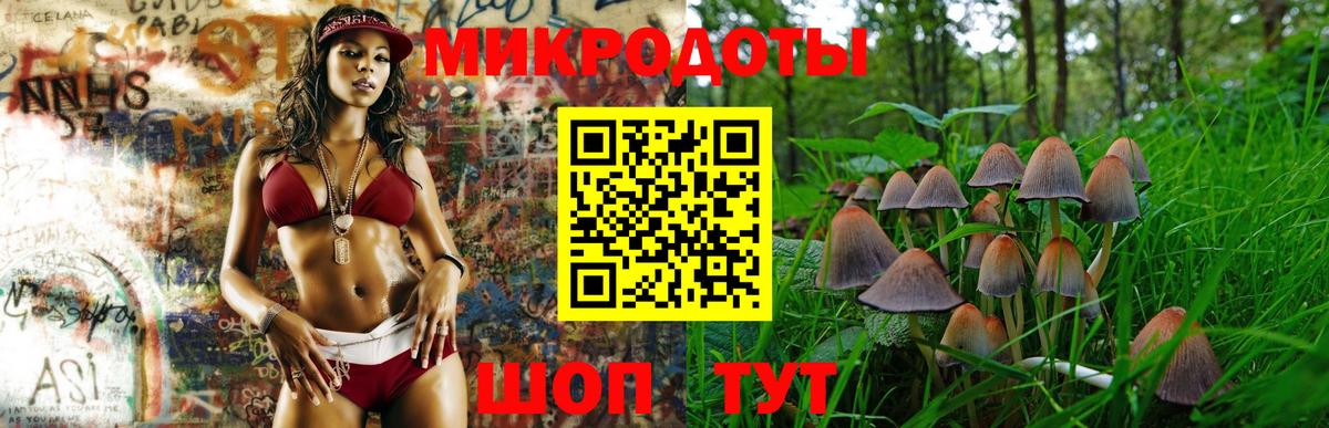 Псилоцибиновые грибы MAGIC MUSHROOMS  Вход с VPN  Лыткарино 